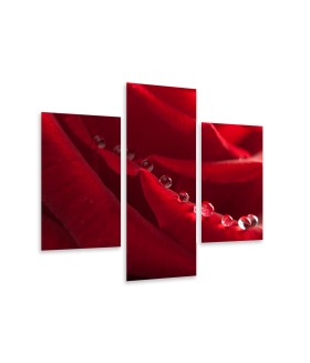 Multi-canvas 3x Red rose with water drops